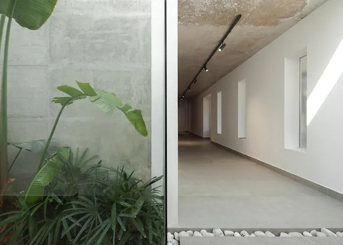 Euphoria * פאפוס